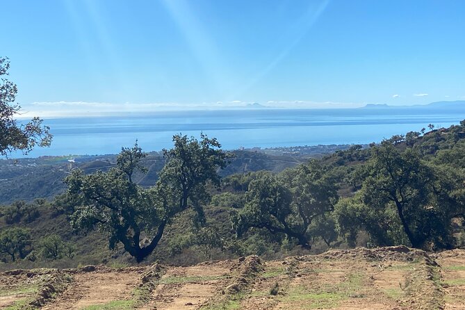 2 Hour Buggy Tour Off-Road Adventure in Mijas - The vibe: what the guide experience feels like