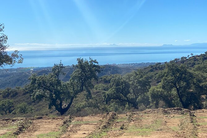 2 Hour Family Buggy Tour, Off-Road Adventure in Mijas - The bumpy middle: unpaved trails, country roads, and a refreshment break