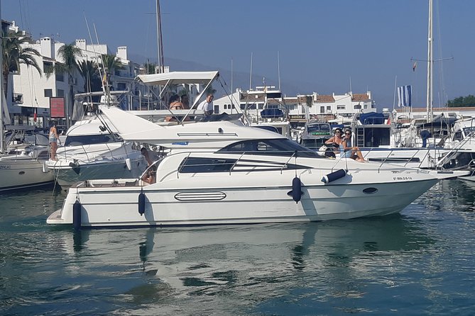 2 Hours Dolphin Watching in Marbella - Private boat value: how $696.14 adds up