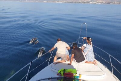 2 Hours Dolphin Watching in Marbella - Meeting at Lovit CharterPantalán: settle in fast