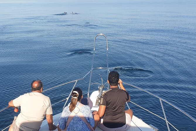 2 Hours Dolphin Watching in Marbella - Who should book this dolphin watching in Marbella