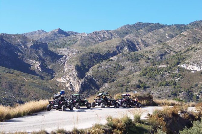 3-hour Buggy Tour in Almuñecar with Picnic - Price and value: what $239.09 buys you (and what it doesn’t)