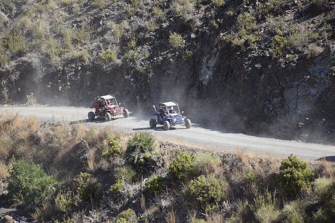 3 Hours Guided Buggy Safari Adventure in the Mountains of Mijas - Meeting Rangers Safari Tours: fast paperwork, quicker start