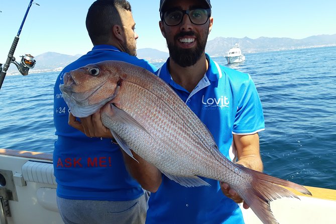 4 Hours Bottom Fishing Day by boat from Marbella - Where This Bottom-Fishing Day Fits in Marbella’s Coast
