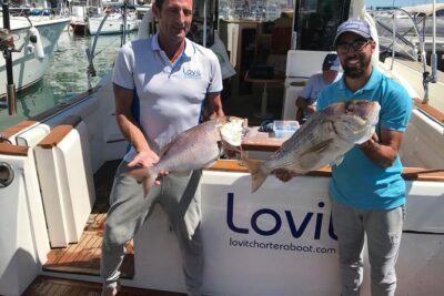 4 Hours Bottom Fishing Day by boat from Marbella - Reaching the Fishing Area: How Bottom Fishing Works (and Why It’s Tense)