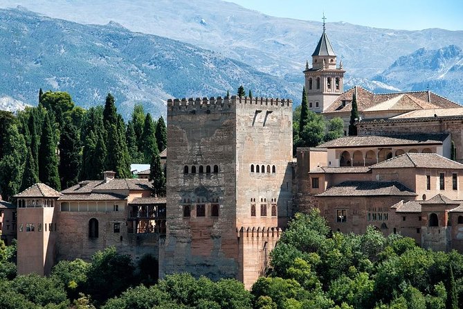 Alhambra and Granada Private Tour from Marbella, Malaga and port - Nasrid Palaces with fixed entry time: the must-plan part