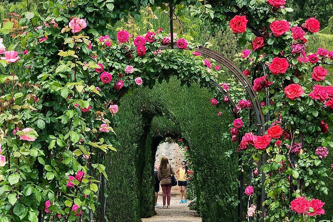 Alhambra Private Tour from Marbella: with Transport and skip-the-line tickets - Palace of Carlos V and the Main Palaces: Read the Design, Don’t Rush It