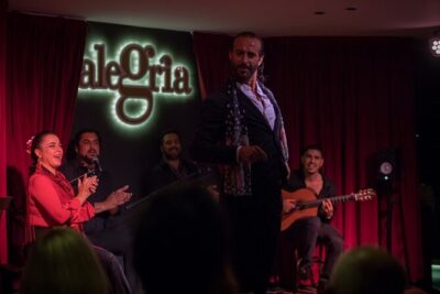 Authentic flamenco show. Alegria and gastronomy Malaga - The cast: singers, guitar, and two dancers driving the emotion
