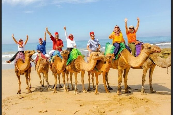 Authentic Private Tangier Tour from Estepona Camel Ride & Lunch - Key highlights at a glance