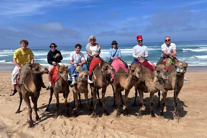Authentic Private Tangier Tour from Estepona Camel Ride & Lunch - Estepona to Tarifa: comfort, timing, and a smooth start