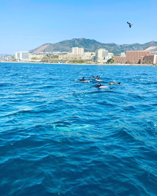Benalmádena: Costa del Sol License-Free Boat Rental - Cruising the Costa del Sol: Photo Stops and Sunset Views