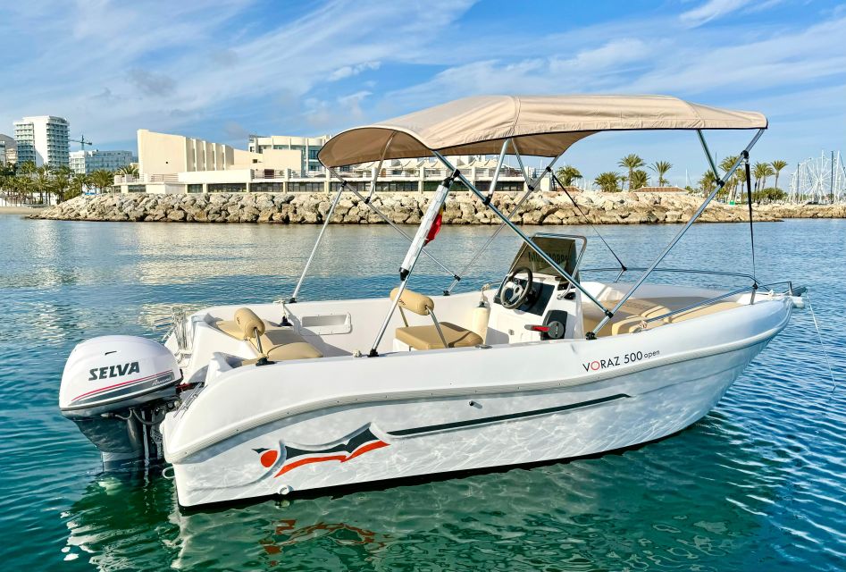 Benalmádena: Costa del Sol License-Free Boat Rental - Dolphins, Swimming, and Snorkeling: The Part You’ll Remember