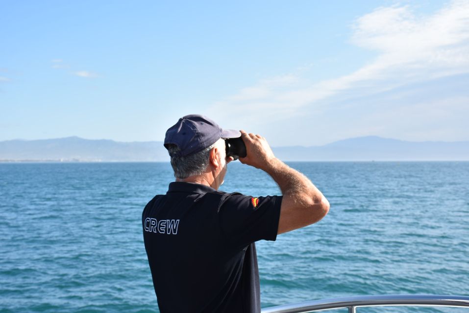 Benalmadena: Dolphin Watching Boat Tour - Price and Value: Why Around $22 Can Still Make Sense