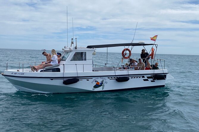 Benalmadena Private Boat-Trip / Excursion with Open bar 1-10Pax - Dolphins, Flying Fish, and Sunfish: Wildlife Moments That Make the Trip