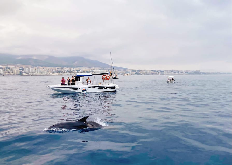 Benalmadena: Private Boat Trip with Drinks & Snacks - Quick hits you’ll care about