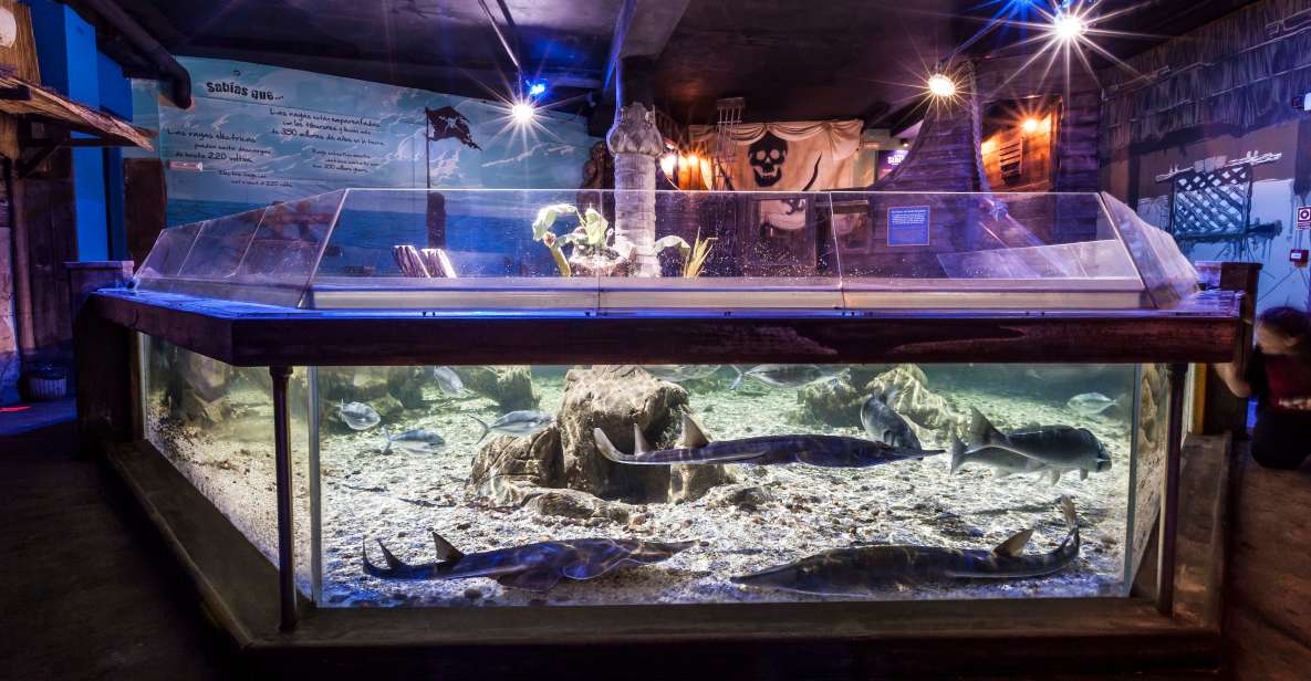 Benalmádena: Sea Life Benalmádena Premium Entry Ticket - The Touch Experience: Starfish and Hermit Crab Up Close