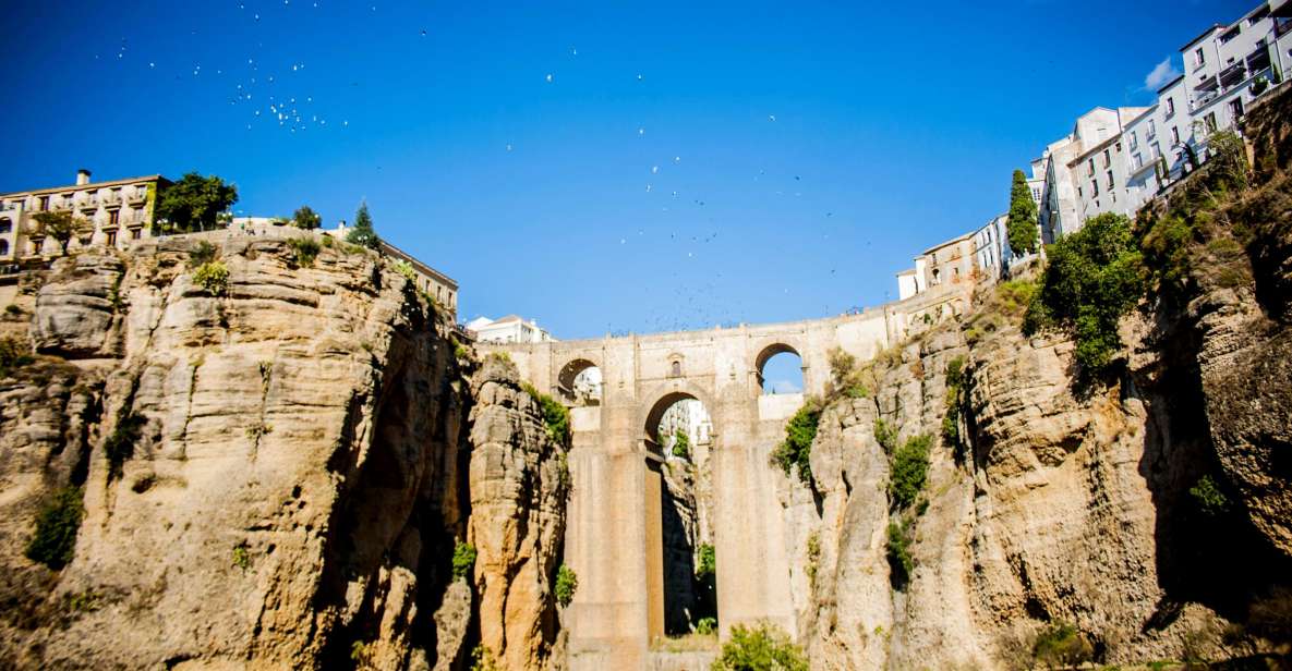 Best of Ronda: Guided Tour from Málaga - Key Points to Know Before You Go