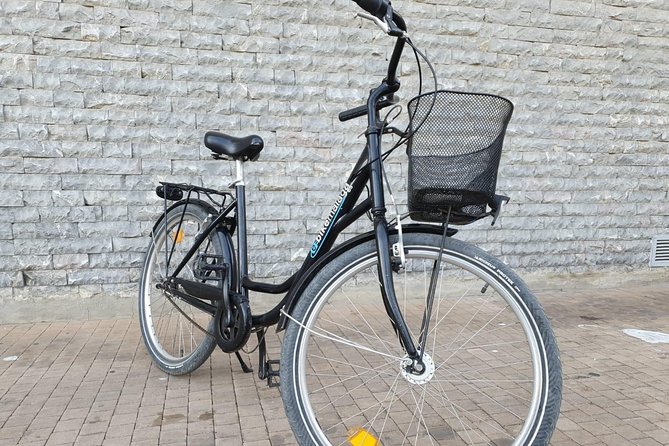 Bike Rental in Malaga - The Port and Palmeral de las Sorpresas Stop