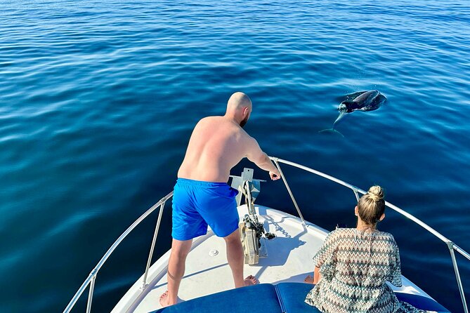Boat Tour with Snorkeling, Water Slide, Lunch and Pick Up - Dolphins off the coast: what you can realistically expect