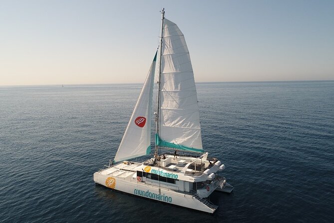 Catamaran tour with swimming stop in Malaga - Key things to know before you board