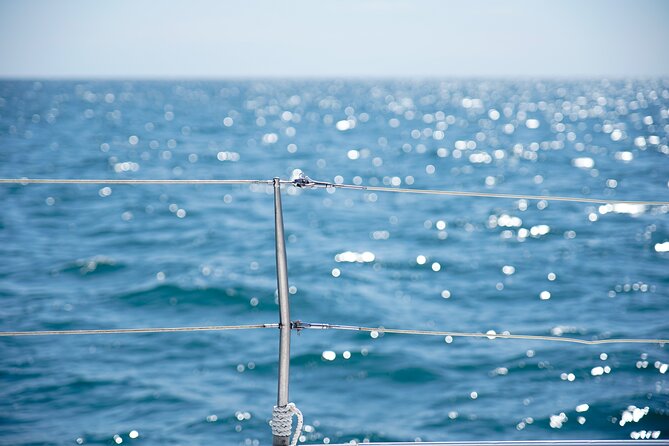 Catamaran tour with swimming stop in Malaga - The onboard bar: what’s allowed, and how to plan your drinks
