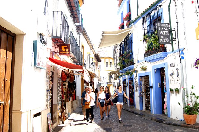 Cordoba and its Mosque Tour from Málaga - Price and value: is $218.98 fair for this day trip?