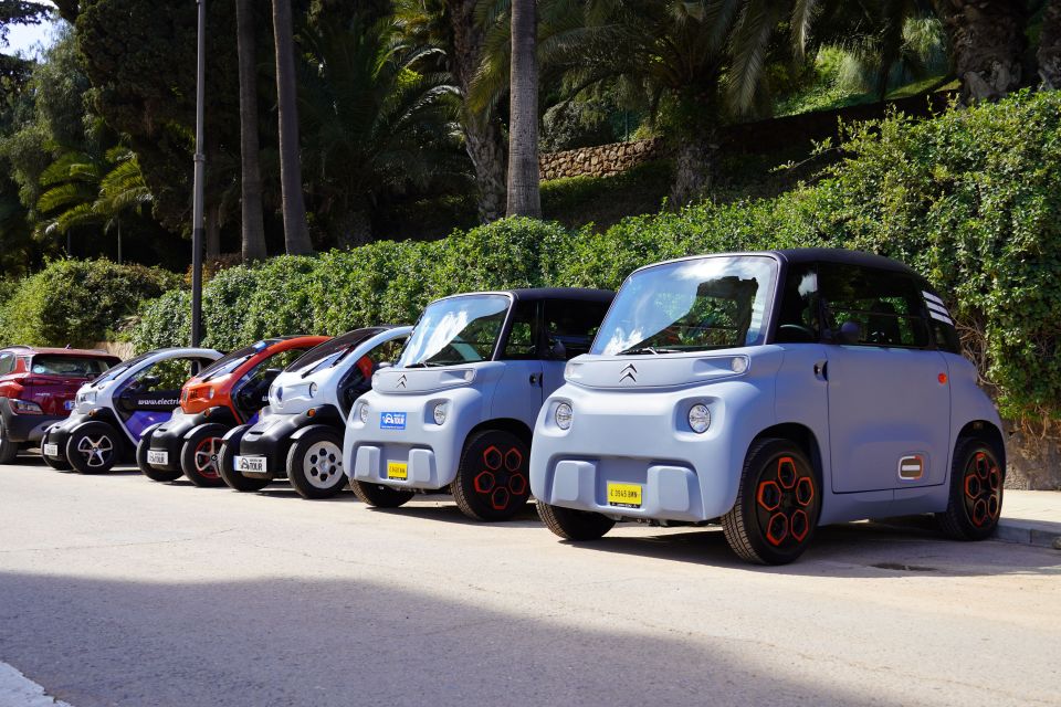 Cruise Terminal Pickup: Málaga in 2 Hours by Electric Car - Paseo del Parque and Soho: the stroll-feeling view from the road