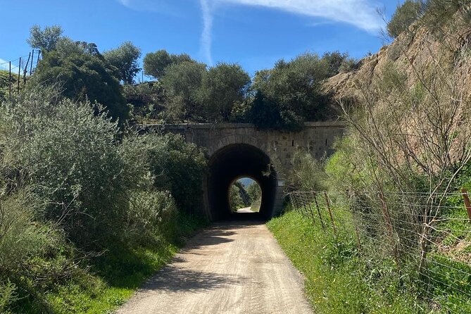 Cycling - Via Verde de la Sierra - Easy Difficulty - Ronda - Vulture conservation centre: the stop that adds meaning