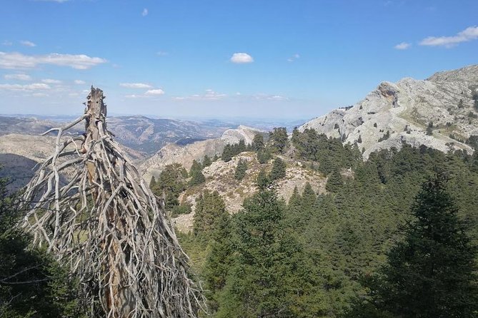 Dayhikes with pick-up from Marbella and Estepona - Pickup from Marbella and Estepona: plan your morning, not your stress