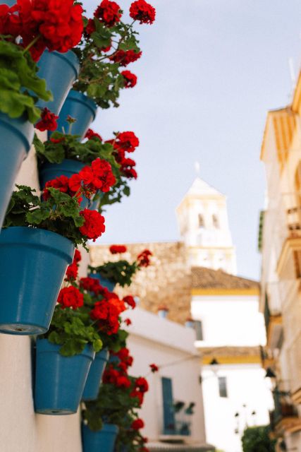 Discover Marbella's Old Town with five-star private tour - Key highlights worth your attention