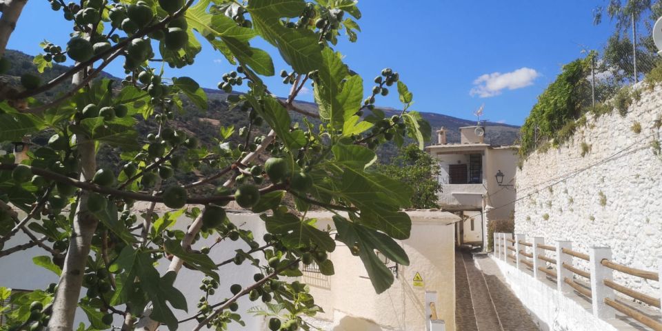 Discovering Las Alpujarras from Málaga - SemiPrivate - Pampaneira: narrow streets, guided history, and a real 3-hour walk