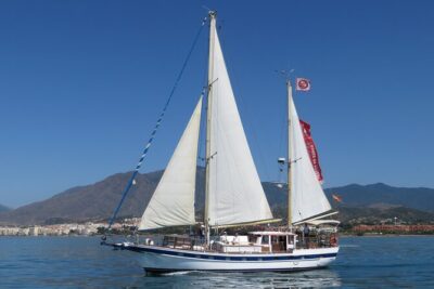 Dolphin Watching Adventure in Estepona Bay - Meeting point in Estepona: how to show up without stress