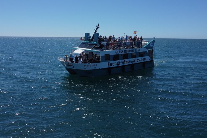 Dolphin watching on a Catamaran in Fuengirola - Key highlights you’ll feel right away