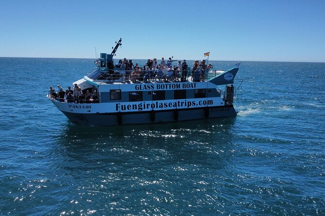 Dolphin watching on a Catamaran in Fuengirola - Motor catamaran comfort: why this boat setup works