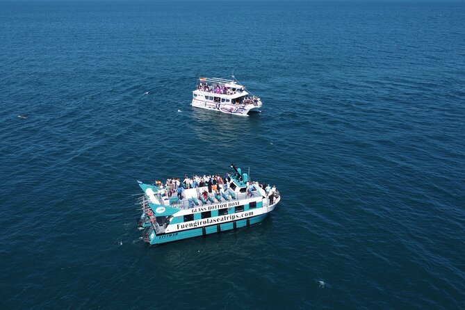 Dolphin watching on a Catamaran in Fuengirola - How the crew runs the trip (and what you’ll learn onboard)