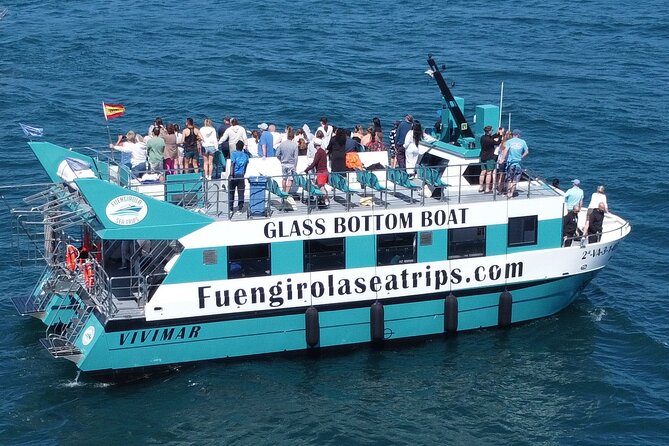 Dolphin watching on a Catamaran in Fuengirola - From Puerto Deportivo Fuengirola: the timing and rhythm of your 2 hours