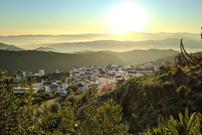 El Saltillo Gorge and White Village Hiking Tour from Malaga - Views, Plants, Animals: What the Guide Adds (That You Can’t Easily DIY)