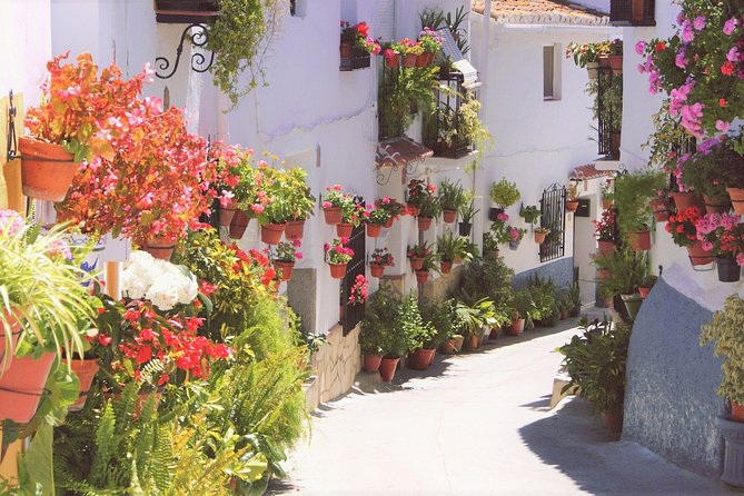 El Saltillo Gorge and White Village Hiking Tour from Malaga - Getting Started: Van Transfer and a Group That Stays Manageable