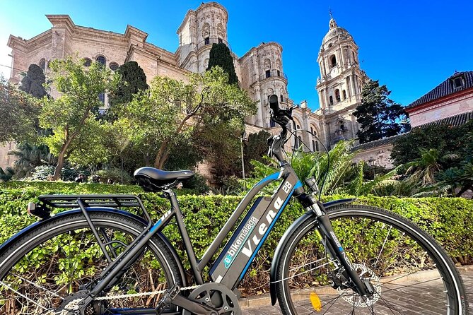 Electric Bike Rental in Malaga - First big payoff: Gibralfaro forest and the hilltop castle views