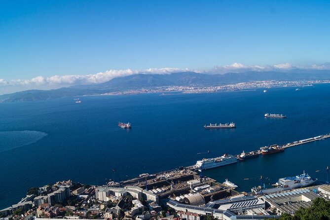 Excursion to Gibraltar with Dolphin Watching from Malaga - Gibraltar first: 3.5 hours to find your rhythm