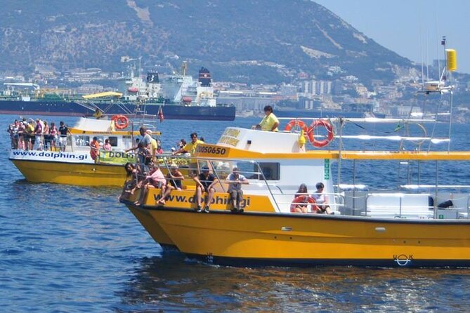 Excursion to Gibraltar with Dolphin Watching from Malaga - The dolphin boat: 90 minutes through the Strait of Gibraltar