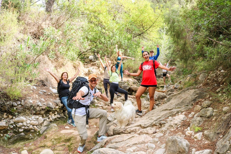 Explore Marbella's Nature: Guided Hiking And Foraging Trip - A 3-Hour Sierra Blanca Hike That Feels Like a Real Adventure