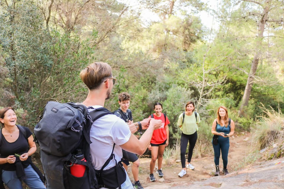 Explore Marbella's Nature: Guided Hiking And Foraging Trip - Difficulty Level: Who Will Enjoy It Most (and Who Should Skip It)