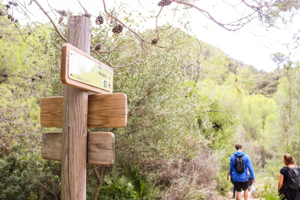 Explore Marbella's Nature: Guided Hiking And Foraging Trip - Price and Value: Why $33 Can Make Sense in Marbella