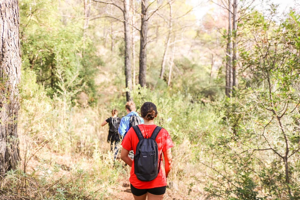 Explore Marbella's Nature: Guided Hiking And Foraging Trip - Choosing the Right Day: Friday Groups or a Private Date