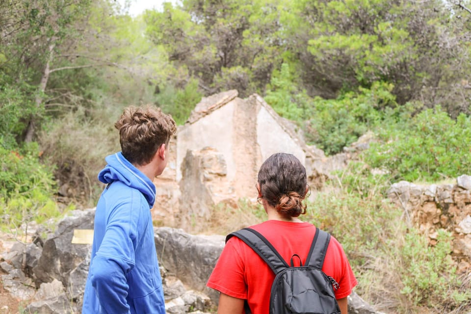 Explore Marbella's Nature: Guided Hiking And Foraging Trip - Should You Book This Foraging Hike in Marbella?