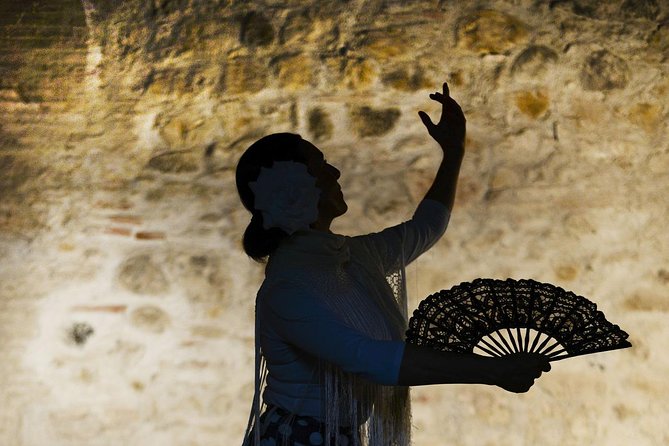 Flamenco, Tapas and Wine Tour: Best of Málaga in one Evening - Why this Málaga night feels efficient (and not touristy)