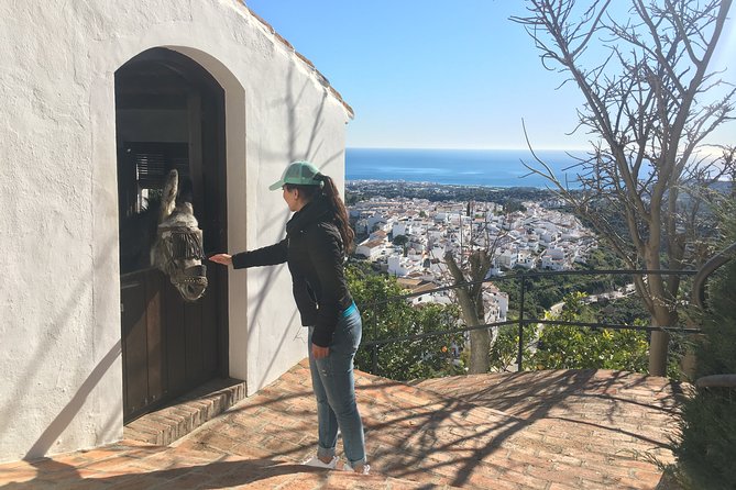 Frigiliana Small-Group Hike and Wine Tasting Tour from Malaga - Wine tasting in a cellar: the right kind of end-of-day reward