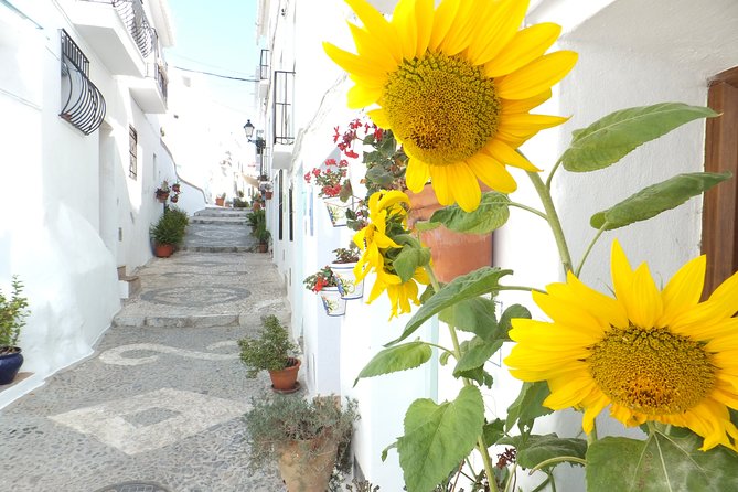 Frigiliana Small-Group Hike and Wine Tasting Tour from Malaga - Who should go, and who should skip it
