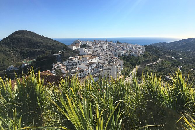 Frigiliana Small-Group Hike and Wine Tasting Tour from Malaga - The hike route: avocados, old water channels, and those gorge views